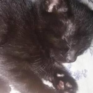 Meet your Posher, Fiona